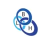 B L H Electrical Installations