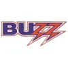 Buzz Electrical