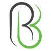 Burtonelectrical