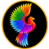 Bristol Phoenix Group Ltd